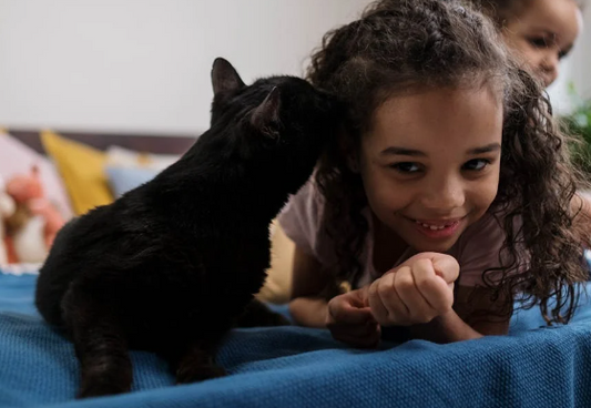 5 Façons de Bien S'occuper de Son Chat