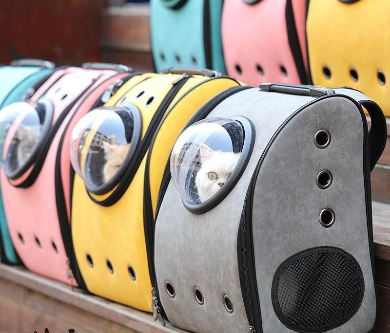 Sac à dos pour chats transparent avec ventilation pour transport confortable et sécurisé des animaux.