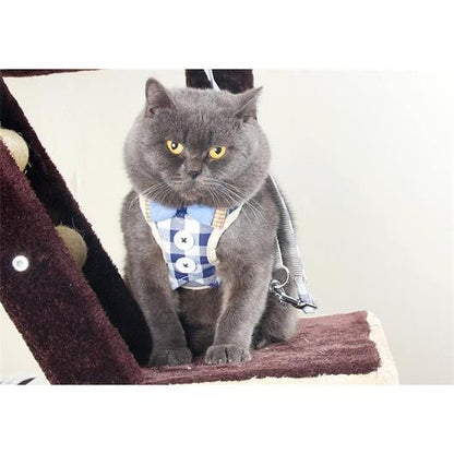 Ensemble harnais et laisse pour chat
