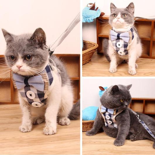 Ensemble harnais et laisse  pour chat avec motif floral japonais, confortable et ajustable pour toutes tailles.