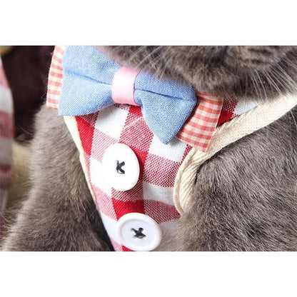 Ensemble harnais et laisse pour chat
